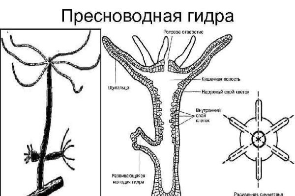 Почему не работает мега