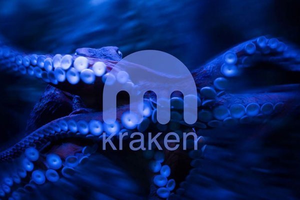 Ссылка на kraken зеркало kraken6.at kraken7.at kraken8.at